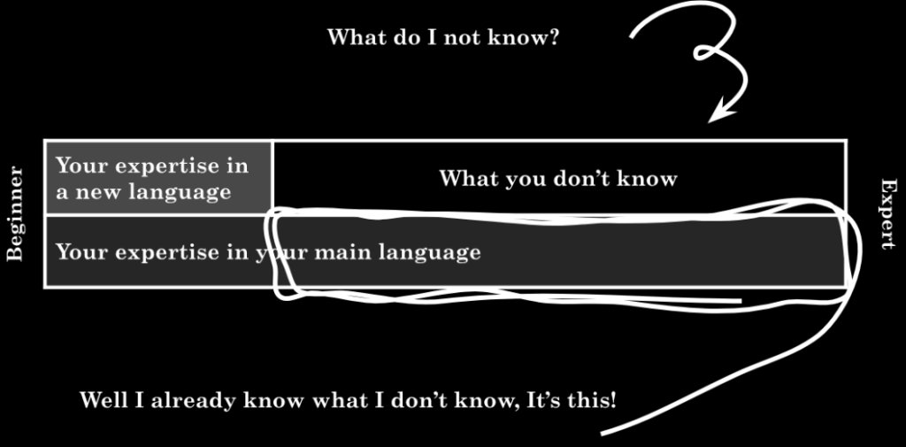 Importance of mono-language pedagogy for programming&nbsp;students